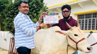 Photo of “महमूद मियां की गाय” लेकर आ रहे हैं यश कुमार, फोटो हुआ वायरल