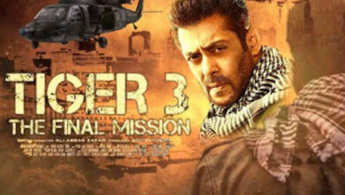 Photo of 6 सालों के लंबे सफर के बाद सलमान खान फिल्म टाइगर 3 फिर वापसी कर रही…
