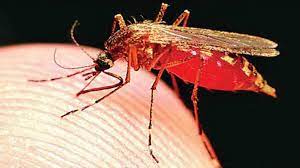 Photo of डेंगू के बाद अब निमोनिया का बढ़ा खतरा…