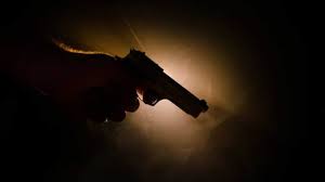 Photo of दशमी की रात सोदपुर में युवक को मार दी गई गोली….