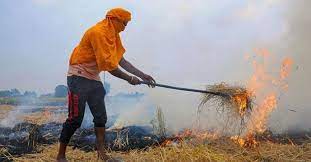 Photo of खेत में पराली जलाने वाले किसानो की नहीं खरीदे की सरकार फसल…
