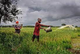 Photo of किसानों को मात्र चार प्रतिशत ब्याज पर केसीसी ऋण उपलब्ध कराया जाएगा।