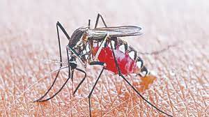 Photo of आजमगढ़ में डेंगू का प्रकोप जारी,24 घंटे में 11 नए संदिग्ध मिले मरीज…
