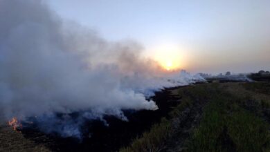 Photo of पराली जलाने पर दो और किसानों के खिलाफ एफआईआर