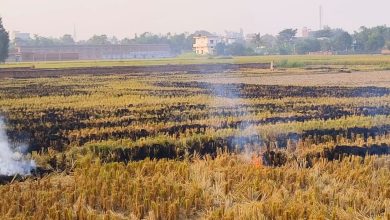 Photo of गड़वार में किसान बेखौफ जला रहे पराली,प्रशासन मौन