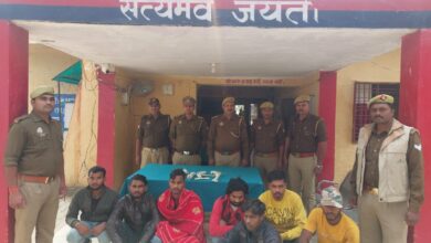 Photo of फेफना पुलिस ने सात चोरों को किया अभियुक्त गिरफ्तार