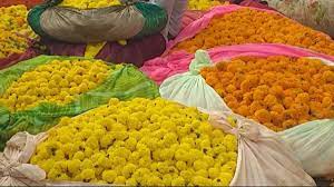 Photo of करोड़ों रुपये के देसी-विदेशी फूलों से सजे घाट व मंदिर…..