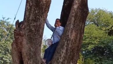 Photo of समाधान दिवस के मौके पर एक फरियादी माइक लेकर चढ़ गया पेड़ पर…
