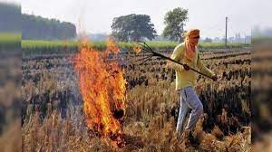 Photo of किसानों के पराली जलाने पर रोक लगाने के लिए सरकार की सख्ती