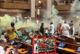 Photo of संसद की कार्यवाही के दौरान हुई सुरक्षा चूक पर डिंपल यादव ने जताई चिंता