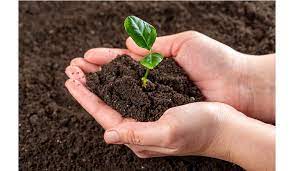 Photo of विश्व मृदा दिवस 2023: विश्व मृदा दिवस मनाने के लिए दुनिया भर के लोग एक साथ आते हैं जो पृथ्वी पर जीवन को बनाए रखने में मिट्टी की महत्वपूर्ण भूमिका पर प्रकाश डालता है।(soil day)