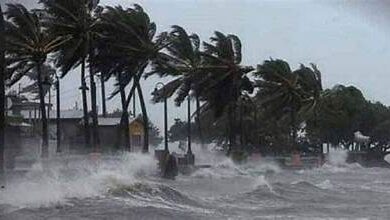 Photo of आज उत्तरी तमिलनाडु तट पर पहुंच सकता है चक्रवाती तूफान मिचौंग