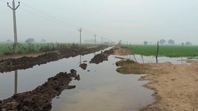Photo of माइनर ओवरफ्लो होने से खेतों में भरा पानी, किसानों को फसल सड़ने का सता रहा डर