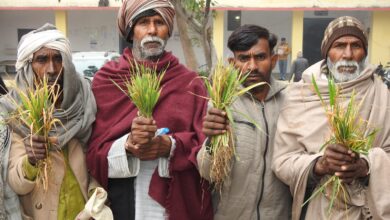 Photo of सूखी फसल लेकर किसानों ने कलेक्ट्रेट में किया प्रदर्शन, डीएम को बताई समस्या