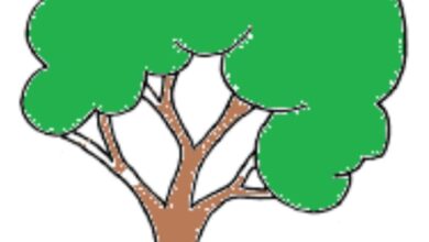 Photo of हरे भरे प्रतिबंधित पेड़ो पर लक्कड़कट्टो ने चलाया आरा