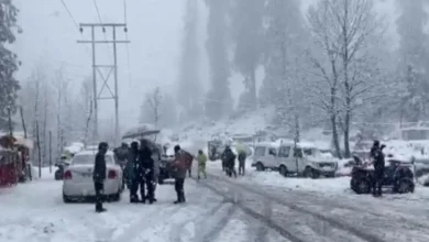 Photo of बर्फबारी न होने से क्यों टेंशन में आ गए हैं कश्मीर-लद्दाख के लोग?