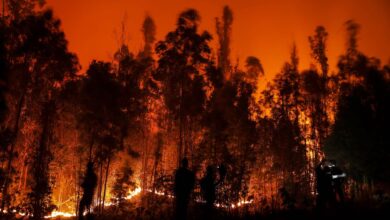 Photo of चिली के जंगलों में आग लगने से जन-जीवन को भारी नुकसान, यहाँ जाने पूरा हाल…