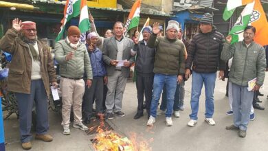 Photo of रुद्रपुर अध्यक्ष पर हुए जानलेवा हमले के विरोध में कांग्रेस ने फूंका सरकार का पुतला