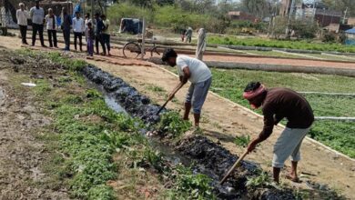 Photo of ग्राम प्रधान के नेतृव में गांव में सफाई अभियान चलाया गया