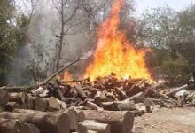 Photo of लकड़ी के ढेर में लगी आग, हुआ हजारों का नुकसान…