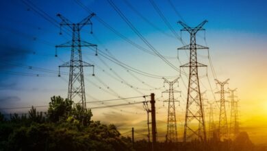 Photo of बिजली का बिल जमा करने में सरकारी विभाग भी बना लापरवाह, कटा कनेक्शन…