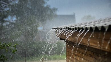 Photo of मौसम विभाग के अनुसार आने वाले दिनों में इस राज्य में बारिश मचाएगी आफत…