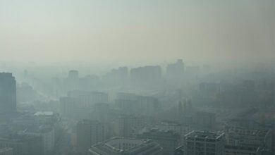 Photo of  ओजोन प्रदूषण: जानिए लोगों के लिए कैसे और कितना खतरनक है ये…