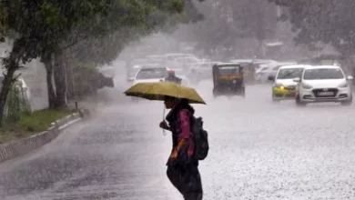 Photo of मौसम विभाग के अनुसार बढ़ती गर्मी में दिल्ली-पंजाब समेत इन राज्यों में बारिश के आसार…