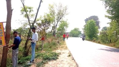 Photo of वन विभाग के कर्मचारियों द्वारा मार्ग पर लगे पेड़ों पर छपाई कार्य जोरों पर