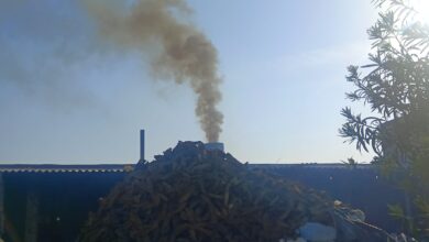 Photo of बीकेटी के बड़ी देवरई गांव में बीमारियां बांट रहा है पेठा फैक्ट्री का जहरीला धुआं!
