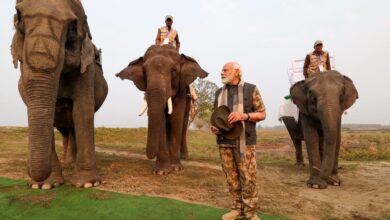 Photo of प्रधानमंत्री नरेंद्र मोदी ने आज असम के काजीरंगा राष्ट्रीय उद्यान का दौरा किया।