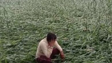 Photo of उन्नाव: बारिश व तेज हवाओं से किसान परेशान…