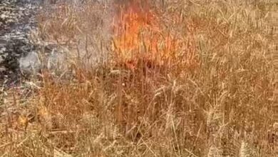 Photo of किसान के खेत में लगी आग से गेहूं की फसल जलकर हुई राख