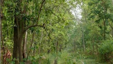 Photo of वन संपदा बचाने के लिए यूपी और एमपी के अधिकारियों ने कालिंजर में की बैठक