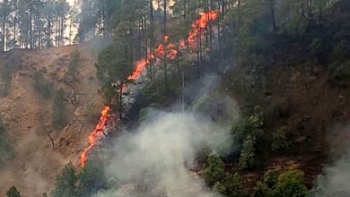 Photo of उत्तराखंड के जंगलों में आग का दायरा बढ़ने के बाद वायुसेना के हेलीकाप्टर और एनडीआरएफ के जवान भी मदद में जुटे