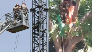 Photo of तमिलनाडु के किसान अपनी मांगों को लेकर चढ़े पेड़ और मोबाइल टावर पर