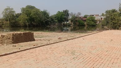 Photo of सैरपुर गांव में थम रहा सरकारी जमीन पर अवैध प्लाटिंग का खेल!