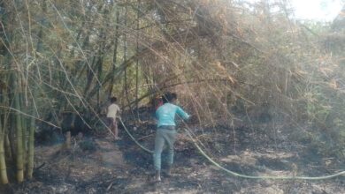 Photo of बंसवार में लगी आग, ग्रामीणों व फायर ब्रिगेड के प्रयास से बुझी आग