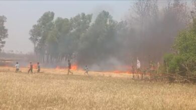 Photo of अज्ञात कारण से नेमा टोला में लगी आग, सात बीघा फसल राख