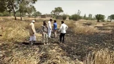 Photo of बिजली की शार्ट सर्किट से गेहूं की फसल जलकर हुई खाक तीन किसानों के खेत में जला 62 बिस्वा गेहूं