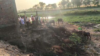 Photo of जवाहर टोला में घूरे के चिंगारी से लगी आग, आठ बकरियां मरी