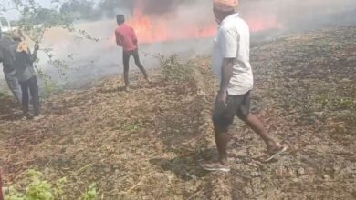 Photo of बेल्थरा कर मुजौना गांव के खेत में लगी आग, सात बीघा गेहूं की फसल राख
