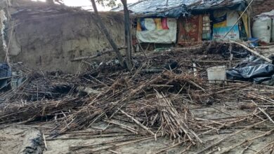 Photo of छप्पर में लगी आग बाल-बाल बचे गोवंश, ग्रामीणों की सूझबूझ से टाला बड़ा हादसा