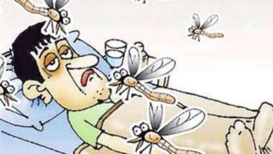 Photo of नियमित नहीं हो रही फॉगिंग, मच्छरों का प्रकोप जारी लोग बेहाल