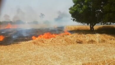 Photo of रहीमाबाद में फिर जली शार्ट सर्किट से किसानों की फसल