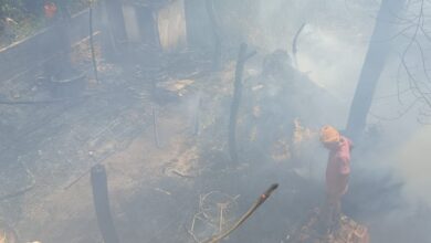 Photo of शॉर्ट सर्किट से लगी आग, एक गाय व बकरी जलकर मरी