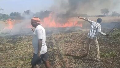 Photo of शार्ट सर्किट से लगी आग, 13 बीघा गेहूं की खडी़ फसल राख
