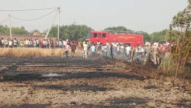 Photo of मलिहाबाद इलाके में अन्नदाताओं की पचास बीघा गेंहू की फसल जलकर राख