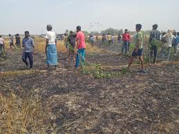 Photo of देवरिया जिले में आग से फसल हुई राख