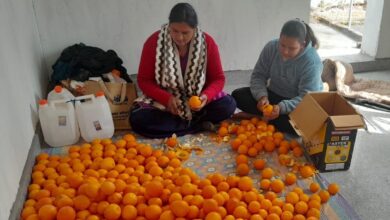 Photo of फूड प्रोसेसिंग यूनिट संचालित कर अपनी आर्थिकी को मजबूत कर रही महिलाएं